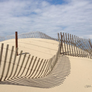 Dune Fence Cutting Board