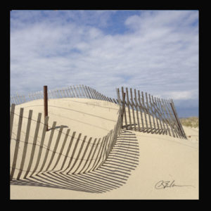 Dune Fence Trivet